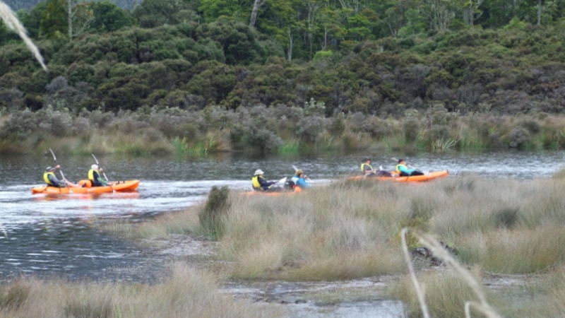 Discover a little slice of untouched paradise as you kayak down the hidden waterways of Papatowai...